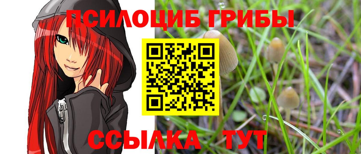 сколько стоит  Псилоцибиновые грибы Psilocybine cubensis  Вход с VPN  Еманжелинск 